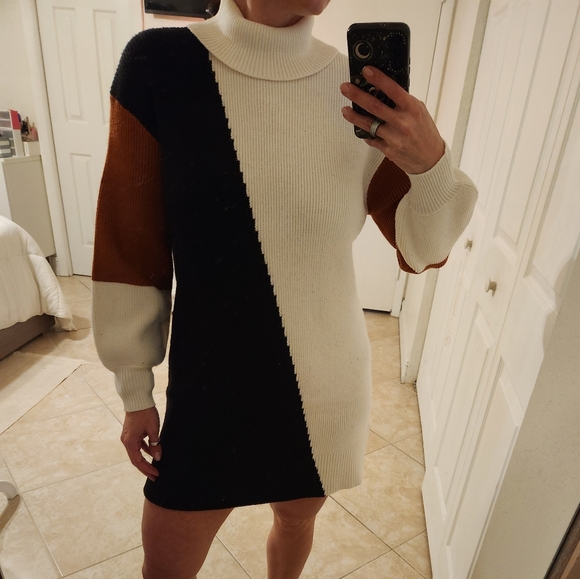 Lindy Turtleneck Sweater Dress - Picture 8 of 8